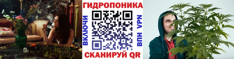 Марихуана план  Северская 